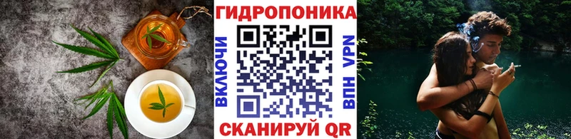 купить закладку  Коркино  Cannafood марихуана 