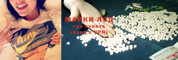 сатива Алексин