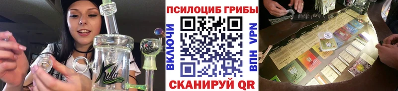 где можно купить   Коркино  Галлюциногенные грибы прущие грибы 